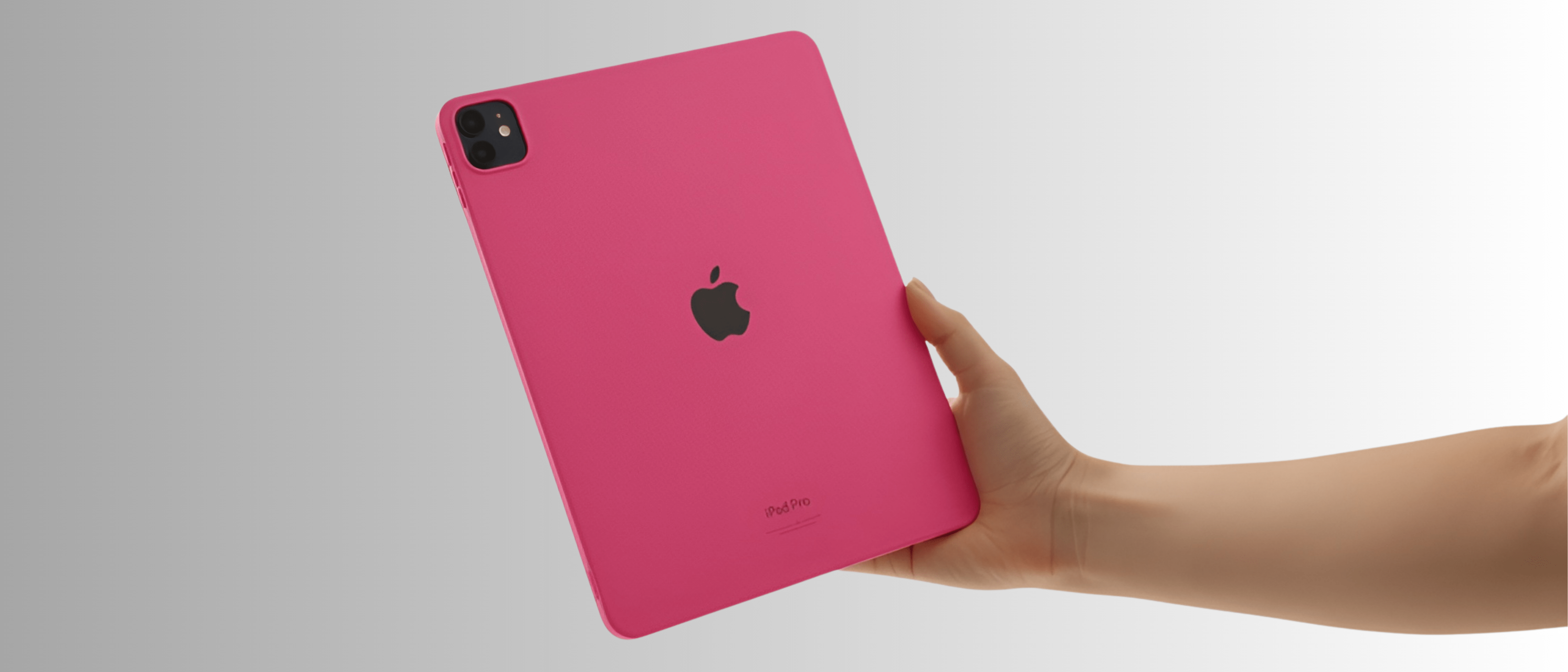 LCDLC>Apple>Funda iPad Pro 11 2024
